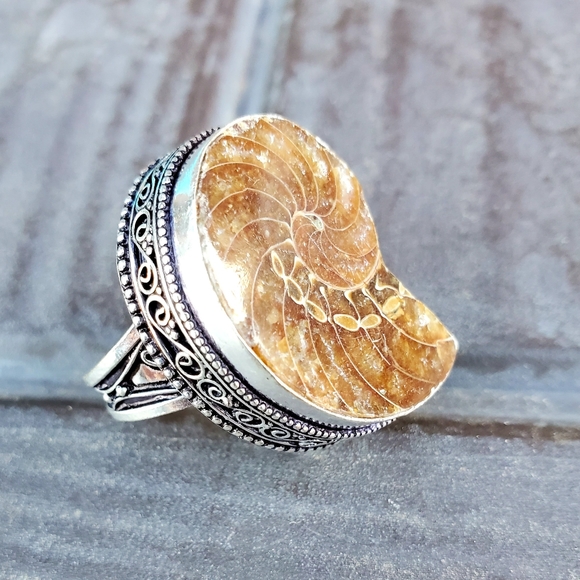 New Fossil Ammonite Silver Statement Ring. - Picture 13 of 16